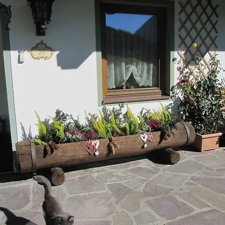 Prázdninový dům Gaestehaus Danler