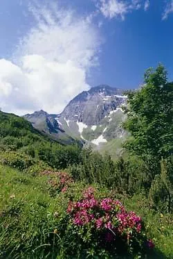 بيت للعطل Gaestehaus Danler *